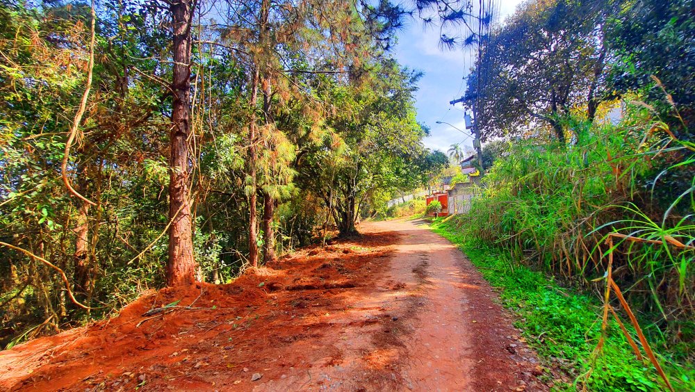 Terreno - Venda - Jardim Paulista - Atibaia - SP