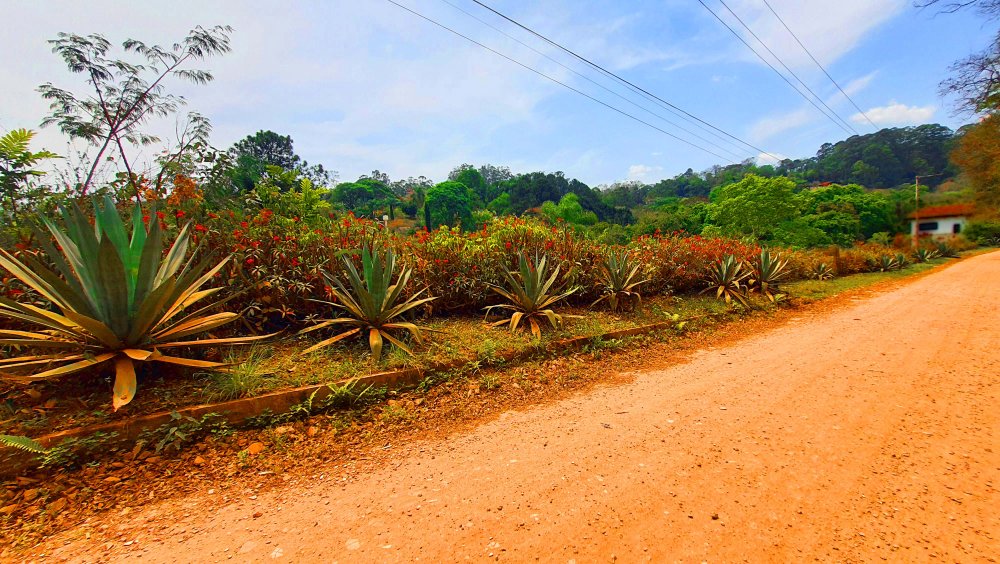 Terreno em Condomnio - Venda - Loteamento Bosque dos Palmares - Atibaia - SP