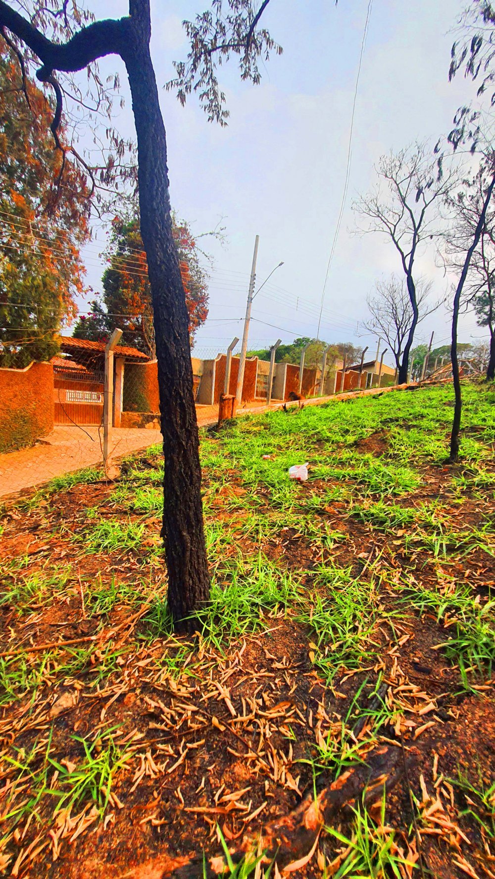 Terreno - Venda - Jardim Estncia Brasil - Atibaia - SP