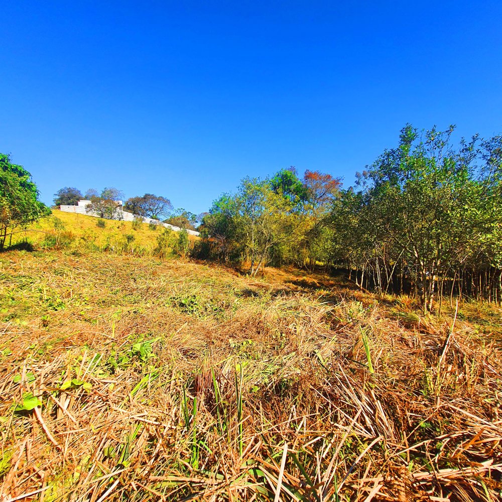 Terreno - Venda - Jardim Paulista - Atibaia - SP