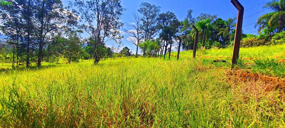 Terreno - Venda - Vila Santa Helena - Atibaia - SP